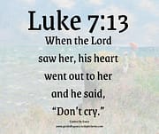 HIS HEART WENT OUT TO HER / LUKE 7:13