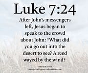 A REED SWAYED / LUKE 7:24