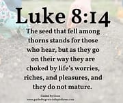 CHOKED BY LIFE'S WORRIES / LUKE 8:14