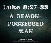 A DEMON-POSSESSED MAN / LUKE 8:27-33