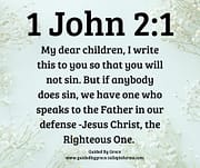 SO THAT YOU WILL NOT SIN / 1 JOHN 2:1