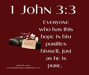 EVERYONE WHO HAS THIS HOPE IN HIM PURIFIES HIMSELF / 1 JOHN 3:3