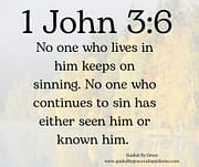 LIVES IN HIM - SEEN HIM OR KNOWN HIM / 1 JOHN 3:6