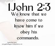 WE KNOW THAT WE HAVE COME TO KNOW HIM / 1 JOHN 2:3