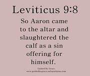 SLAUGHTERED THE CALF / LEVITICUS 9:8