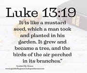 MUSTARD SEED / LUKE 13:19