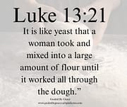THE YEAST / LUKE 13:21