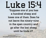 THE LOST SHEEP / LUKE 15:4