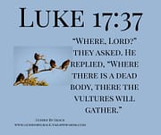 A DEAD BODY ... THE VULTURES / LUKE 17:37