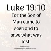 SEEK AND TO SAVE / LUKE 19:10
