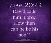DAVID CALLS HIM 'LORD' / LUKE 20:44
