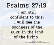 I AM STILL CONFIDENT / PSALMS 27:13