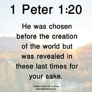 CHOSEN BEFORE THE CREATION OF THE WORLD / 1 PETER 1:20