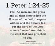 THE WORD OF THE LORD STANDS FOREVER / 1 PETER 1:24-25