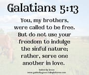 DO NOT USE YOUR FREEDOM TO INDULGE / GALATIANS 5:13