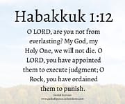 ARE YOU NOT FROM EVERLASTING? / Habakkuk 1:12