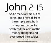 DROVE ALL FROM THE TEMPLE AREA / JOHN 2:15