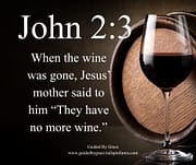 WINE - THEY HAVE NOT MORE WINE / JOHN 2:3