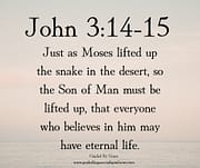 JUST AS MOSES LIFTED UP THE SNAKE / JOHN 3:14-15