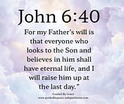 MY FATHER'S WILL / JOHN 6:40