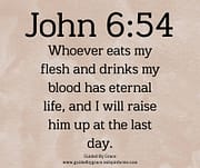EATS MY FLESH AND DRINKS MY BLOOD / JOHN 6:54