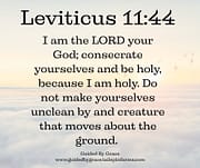BE HOLY / LEVITICUS 11:44