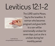 GIVES BIRTH TO A SON / LEVITICUS 12:2