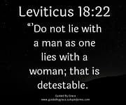THAT IS DETESTABLE / LEVITICUS 18:22