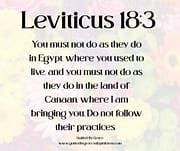 MUST NOT DO AS THEY DO / LEVITICUS 18:3
