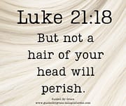 NOT A HAIR ... WILL PERISH / LUKE 21:18