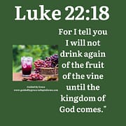 THE FRUIT OF THE VINE / Luke 22:18