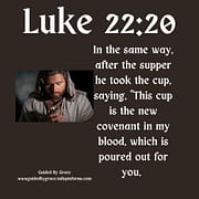 THE NEW COVENANT IN MY BLOOD / LUKE 22:20