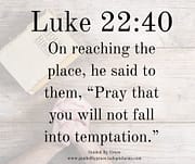 PRAY THAT YOU WILL NOT FALL INTO TEMPTATION / LUKE 22:40