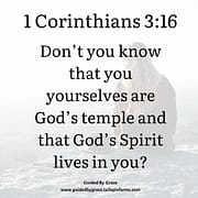 YOU YOURSELVES ARE GOD'S TEMPLE / 1 CORINTHIANS 3:16