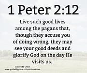 LIVE SUCH GOOD LIVES AMONG THE PAGANS / 1 PETER 2:12