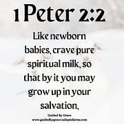 CRAVE PURE SPIRITUAL MILK / 1 PETER 2:2