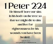 BORE OUR SINS / 1 PETER 2:24