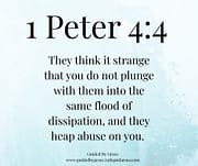 THEY THINK IT STRANGE / 1 PETER 4:4