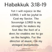 I WILL REJOICE IN THE LORD / HABAKKUK 3:18-19