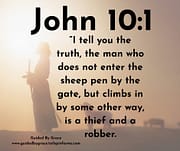 JESUS THE GOOD SHEPHERD / JOHN 10:1