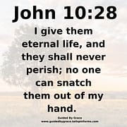 THEY SHALL NEVER PERISH / JOHN 10:28
