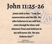 I AM THE RESURRECTION / JOHN 11:25-26