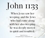 DEEPLY MOVED IN SPIRIT / JOHN 11:33