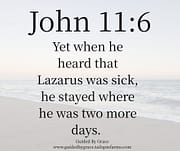 STAYED WHERE HE WAS TWO MORE DAYS / JOHN 11:6
