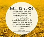 SON OF MAN ... GLORIFIED / JOHN 12:23-24