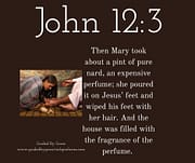 MARY ... POURED IT ON JESUS' FEET / JOHN 12:3