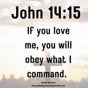 IF YOU LOVE ME YOU WILL OBEY / JOHN 14:15