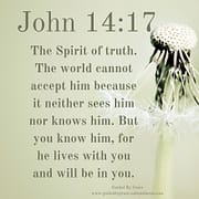 THE SPIRIT OF TRUTH - WITH YOU AND WILL BE IN YOU / JOHN 14:17