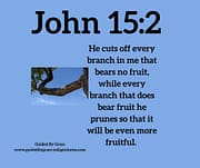 EVERY BRANCH / JOHN 15:2