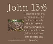 LIKE A BRANCH THAT IS THROWN AWAY / JOHN 15:6